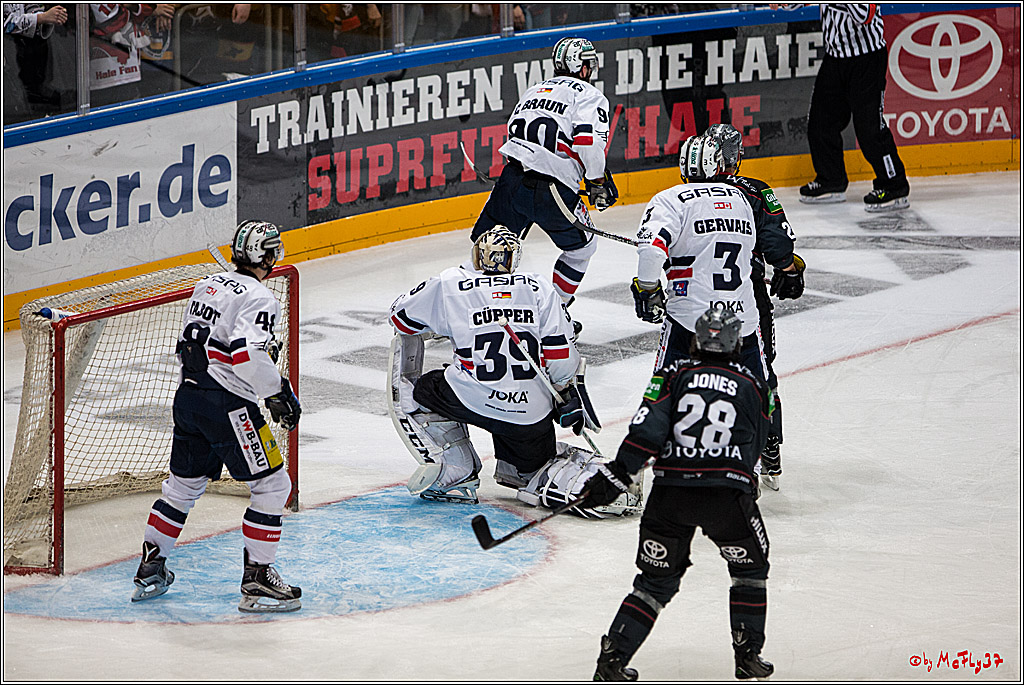 Koelner Haie - Eisbaeren Berlin, 13.11.2016